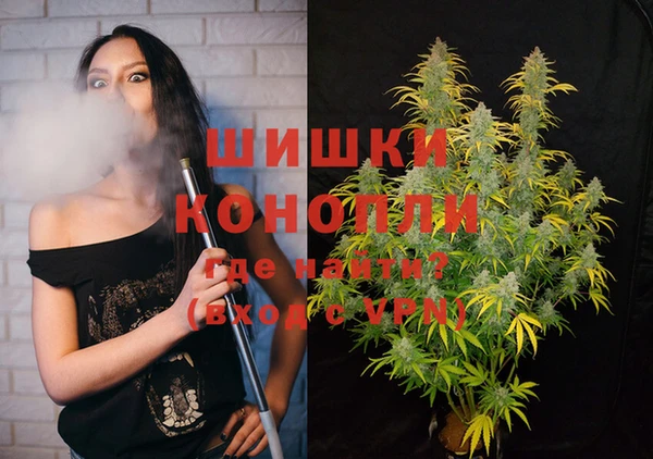 прущие крисы Верея