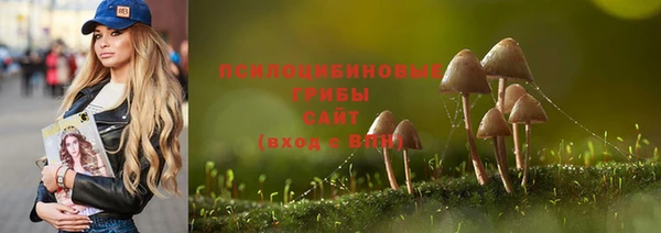прущие крисы Верея
