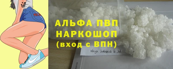 прущие крисы Верея