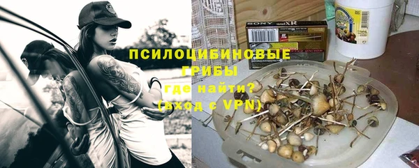прущие крисы Верея