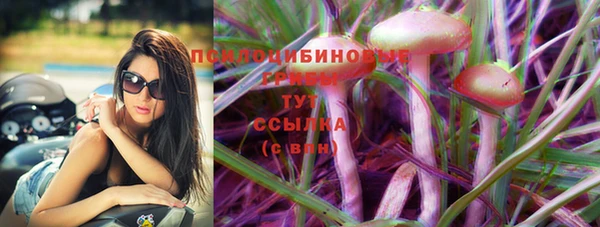 соль ск Верхнеуральск